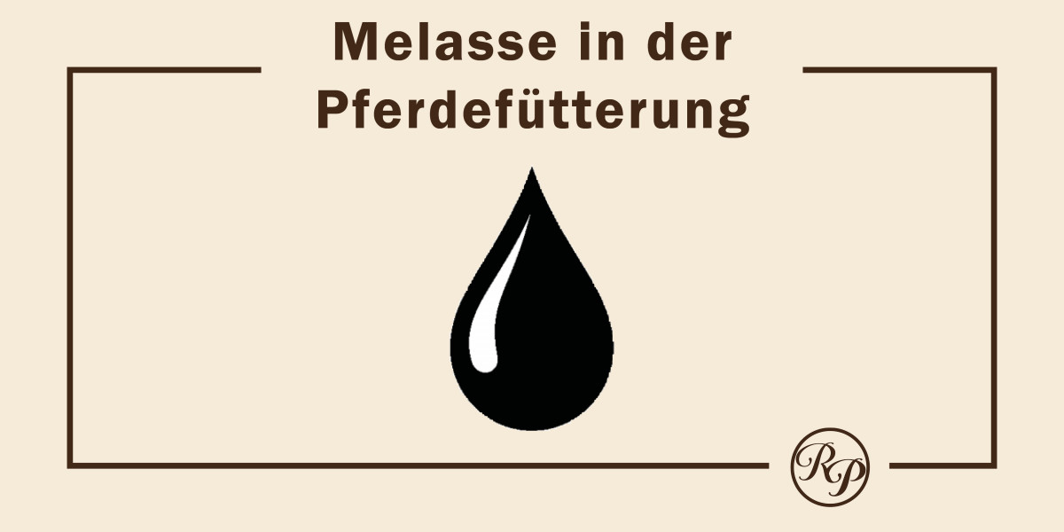 Melasse in der Pferdefütterung Spezialfutter Neuruppin